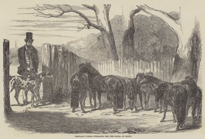 Ponis de Shetland comprados para el Pachá de Egipto de Harrison William Weir